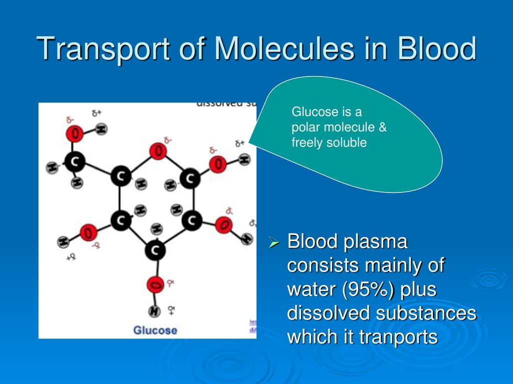 Water Is The Medium Of Life Ppt Download water-is-the-medium-of-life-ppt-download