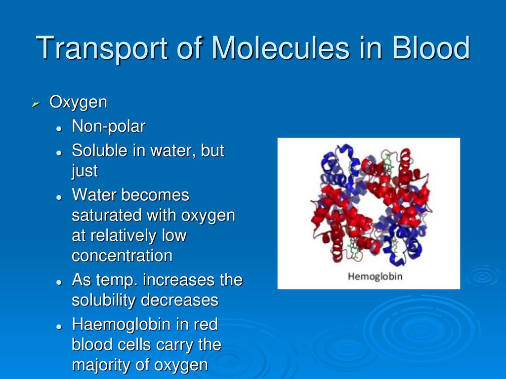 water-is-the-medium-of-life-ppt-download