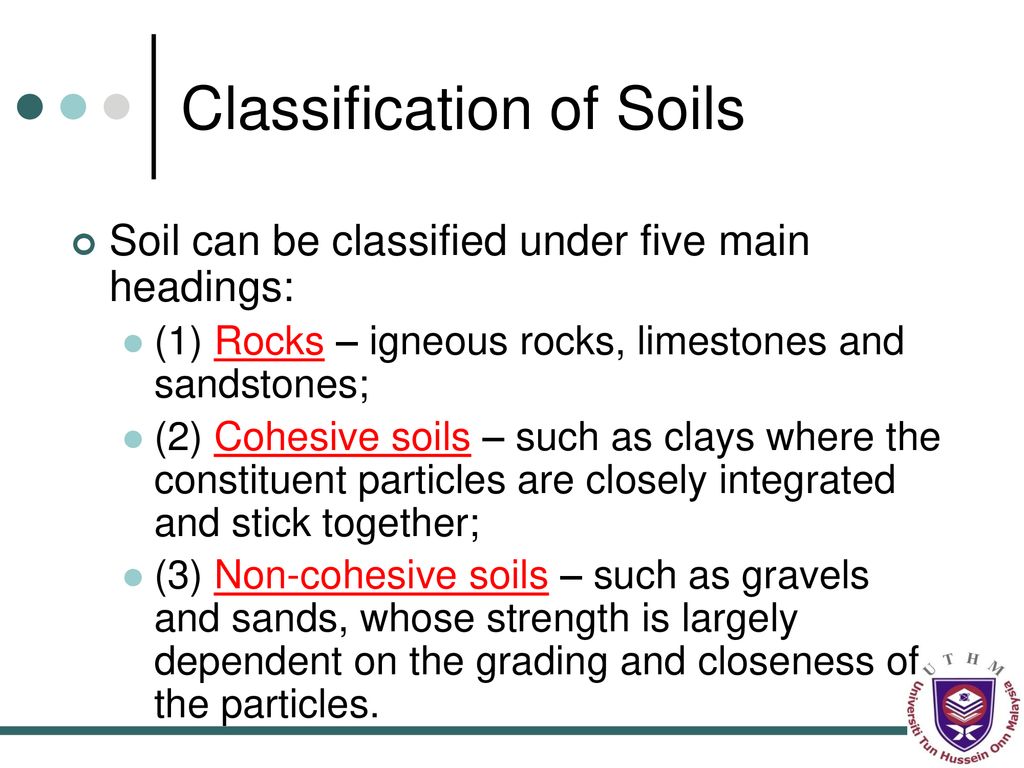 Happy Soil Conservation Day! | Google Slides & PPT