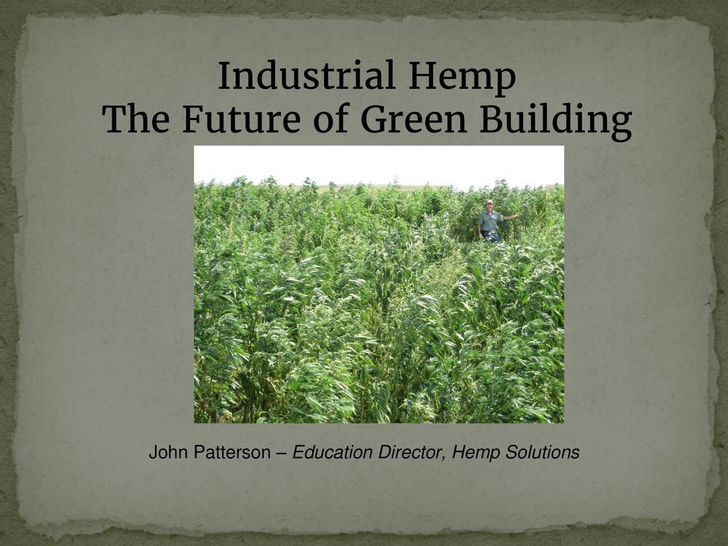 Industrial Hemp The Future of Green Building