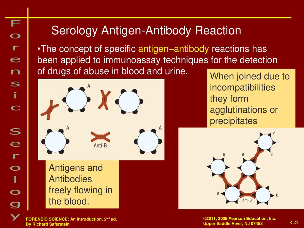 Serology Antigen-Antibody Reaction