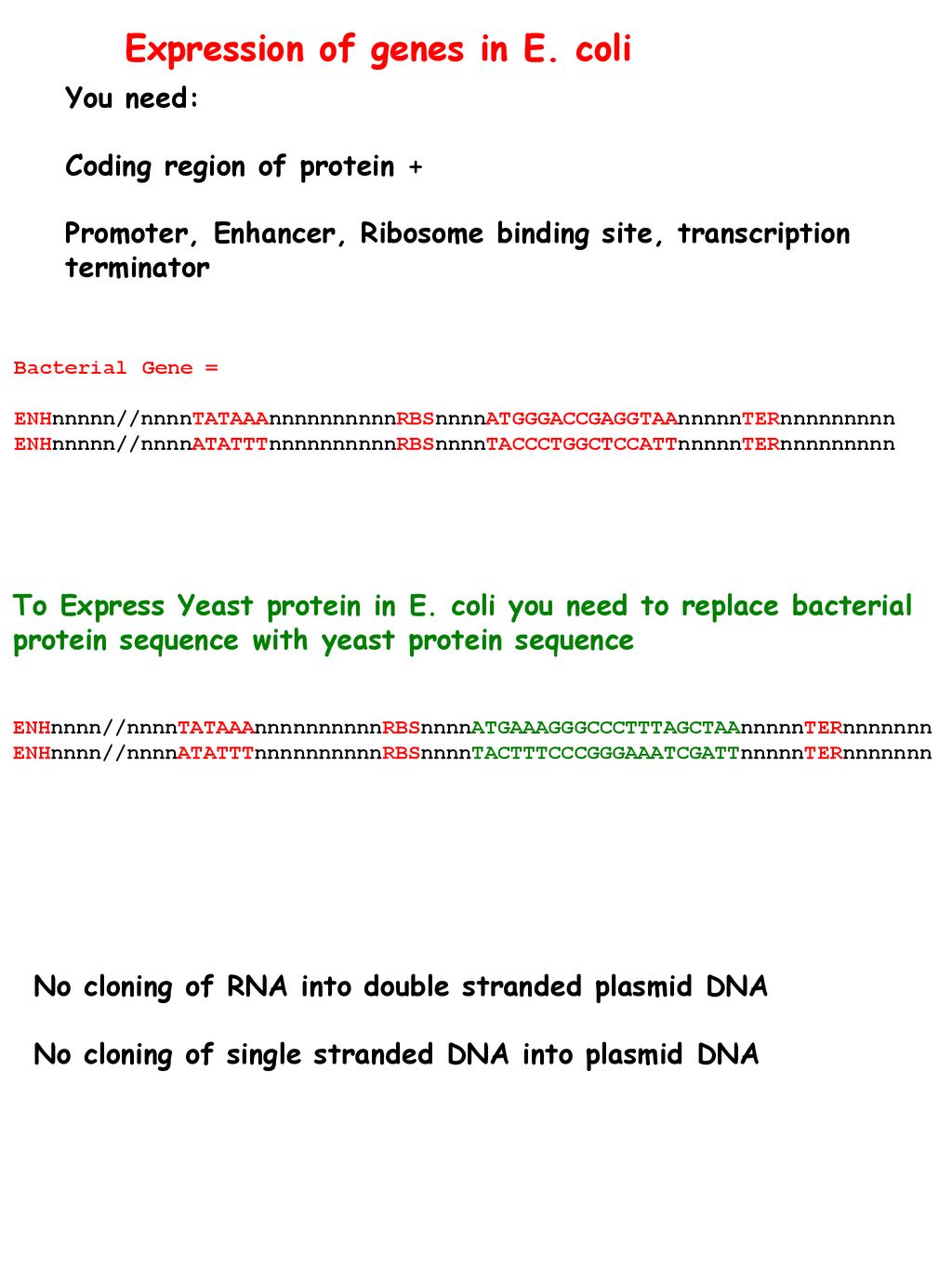 Basic Techniques Dna Sequence Ppt Download Basic Techniques Dna Sequence Ppt Download