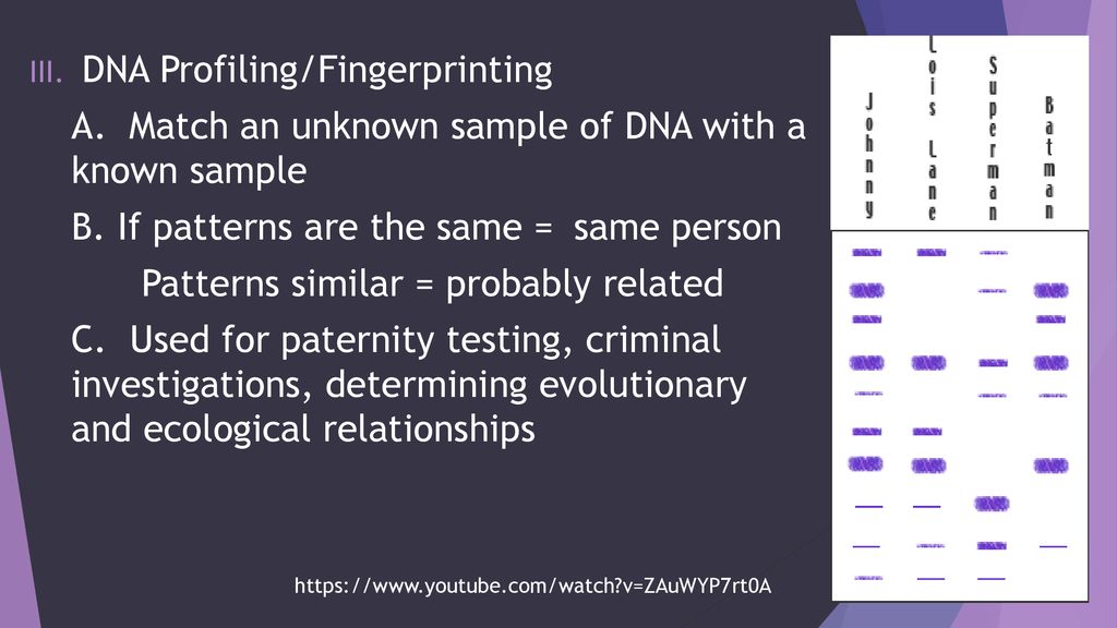 3.5 – Genetic Modification & Biotechnology - ppt download