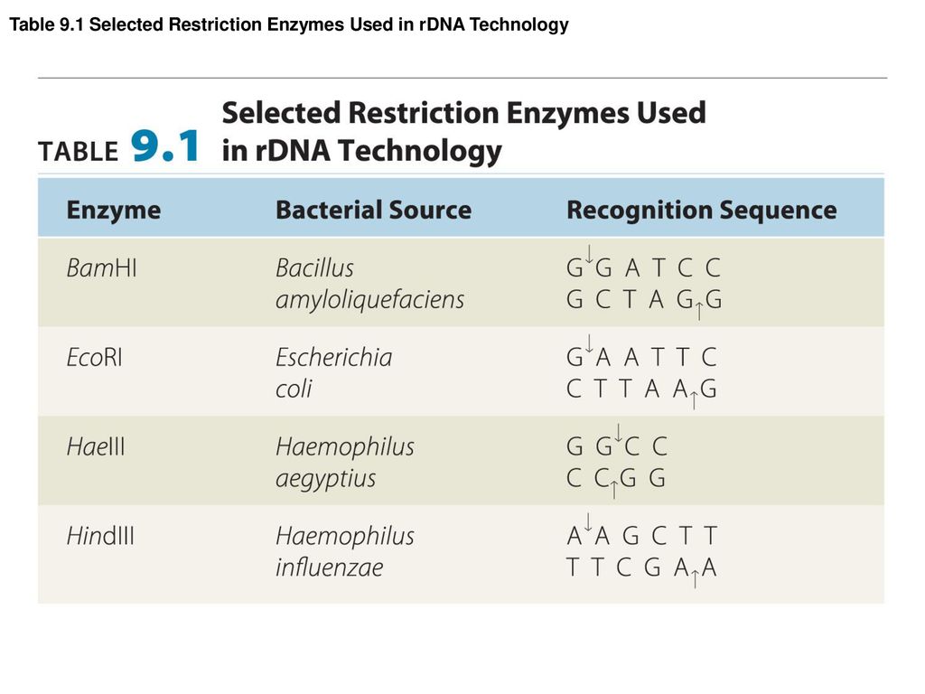 Table 9.1 Selected Restriction Enzymes Used in rDNA Technology