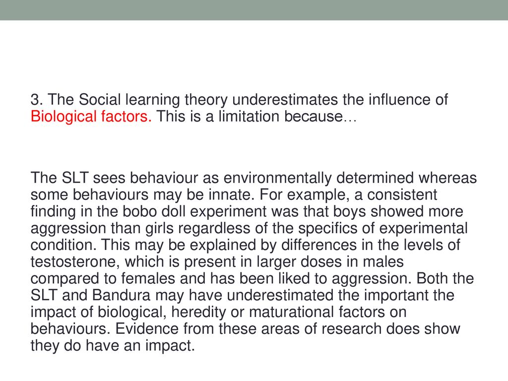 social learning theory essay