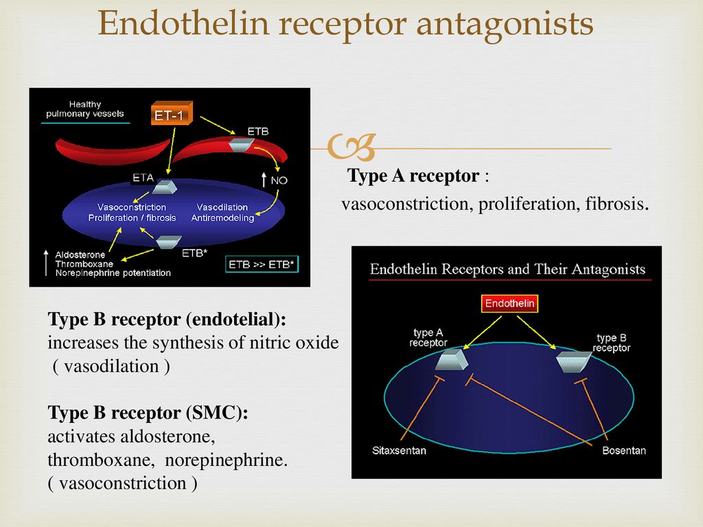 Endothelin receptor antagonists