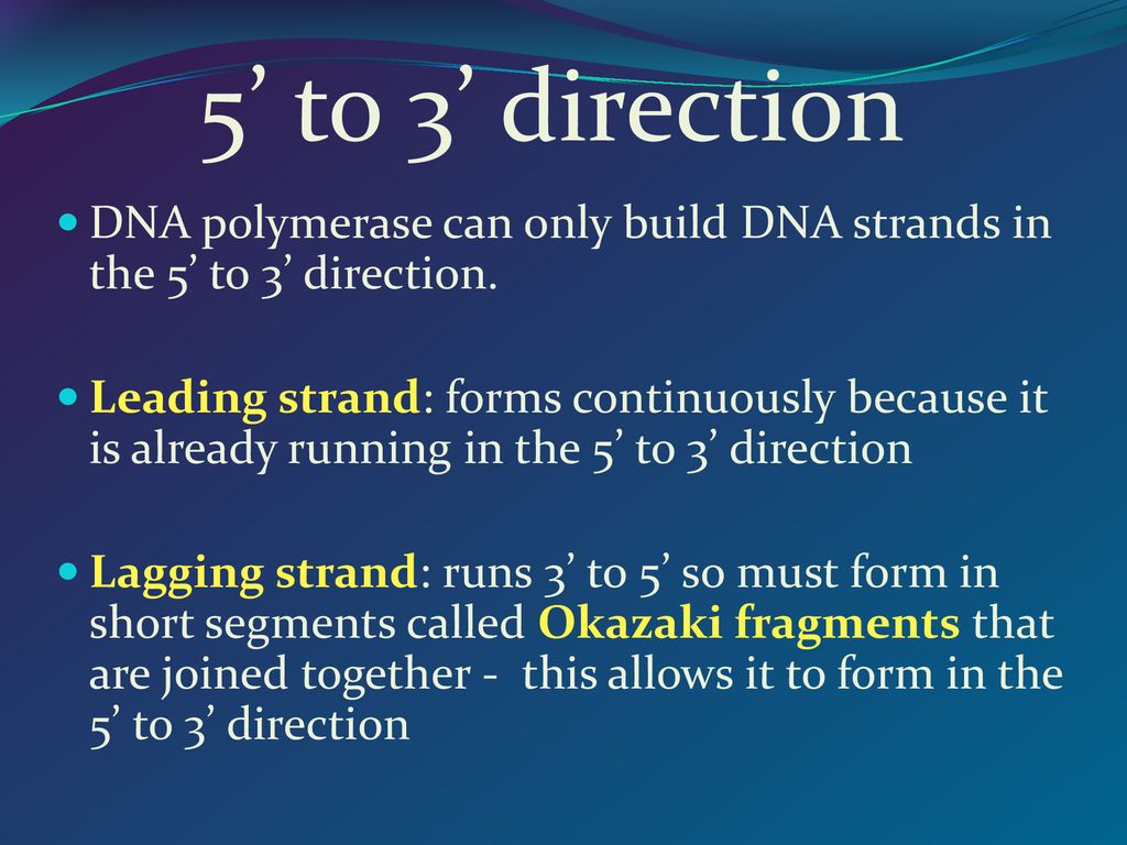 Mrs. Stewart Biology I Honors ppt download