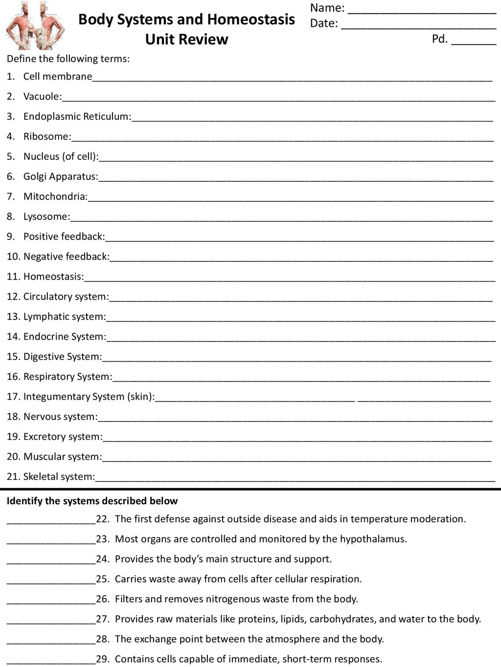 Body Systems and Homeostasis - ppt download