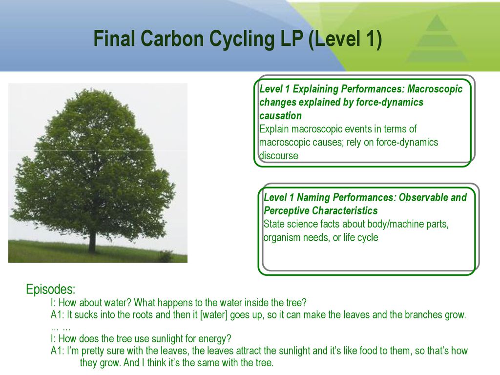 Final Carbon Cycling LP (Level 1)