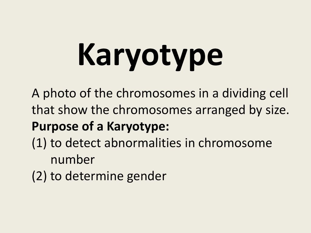 Karyotype A photo of the chromosomes in a dividing cell that show the