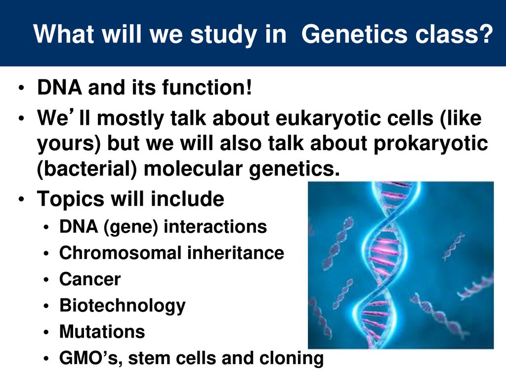 Introduction to Genetics and Biotechnology - ppt download