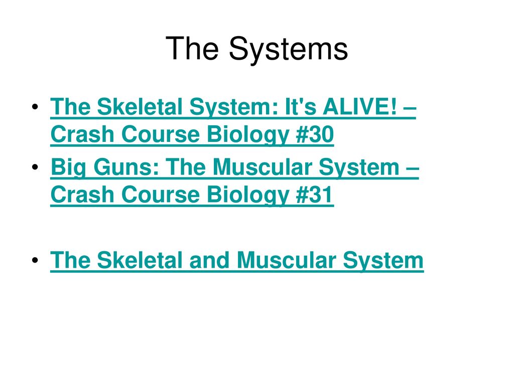 The Muscular Skeletal Systems Ppt Download
