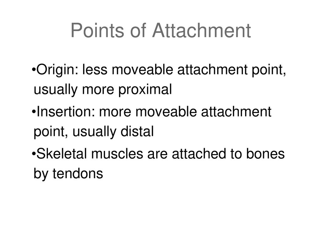 Mechanisms and Characteristics of Sports Trauma Biology Diagrams