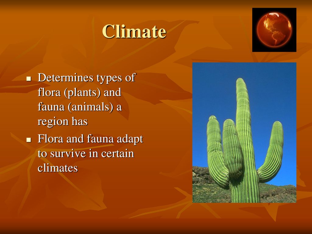 Climate Determines types of flora (plants) and fauna (animals) a region has.