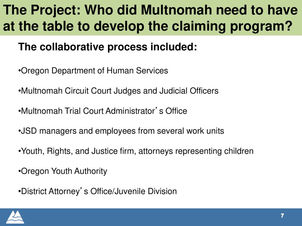 Implementing a Title IV E Claiming Program in Juvenile Justice: The