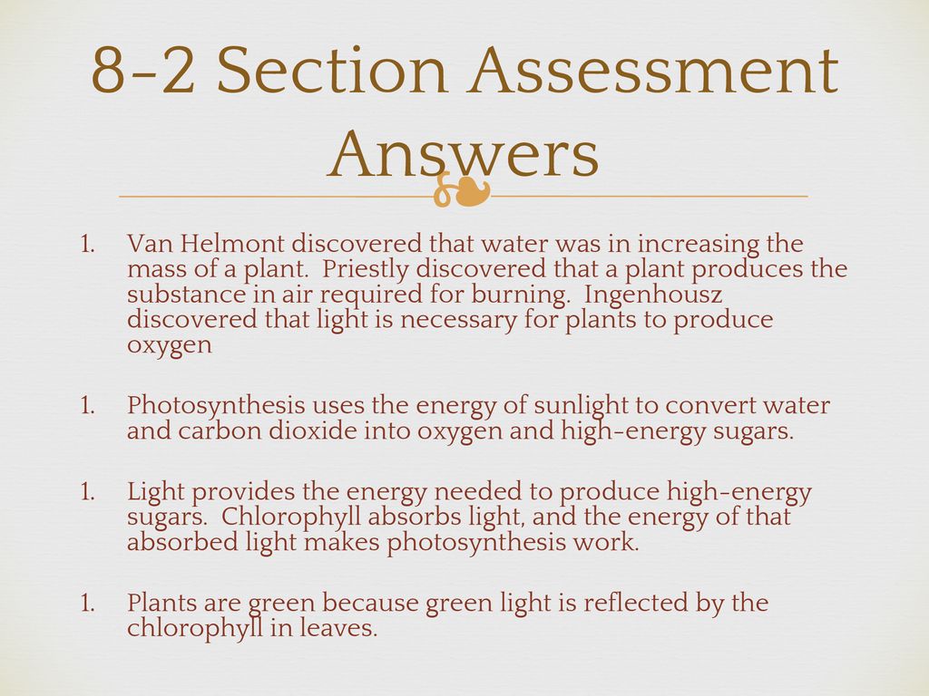 Chapter 8 Photosynthesis Ppt Download