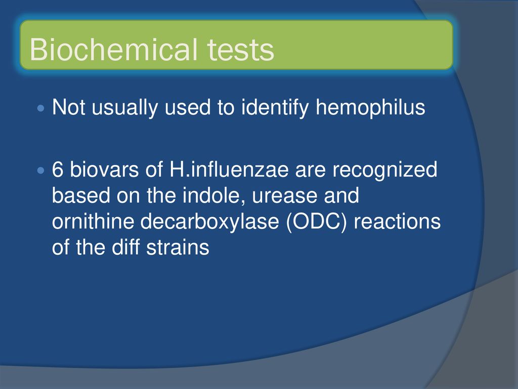 Biochemical Tests For Haemophilus Influenzae at Robin Idella blog Biochemical Tests For Haemophilus Influenzae at Robin Idella blog