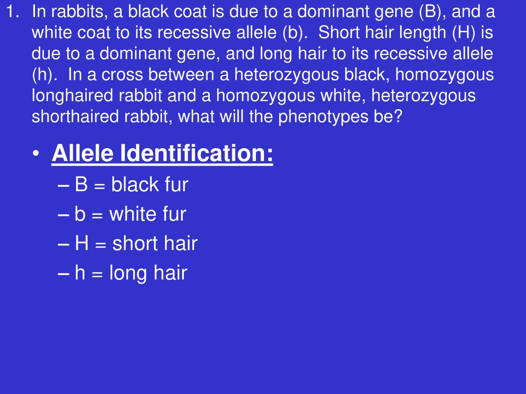 Dihybrid Crosses And Other Patterns Of Inheritance - Ppt Download