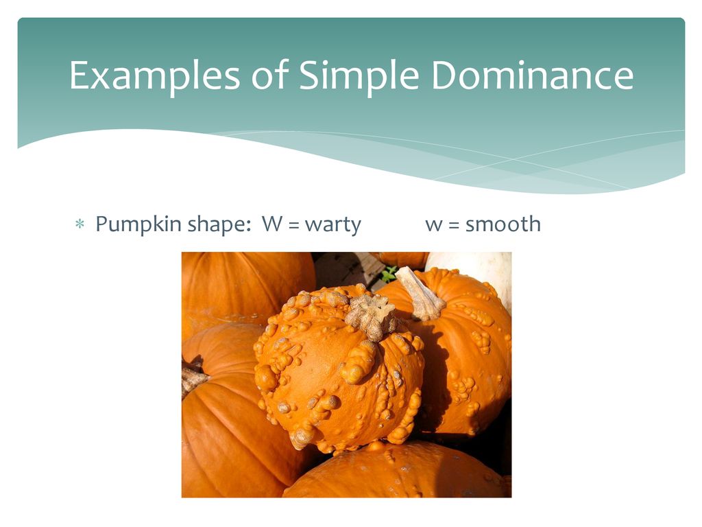 Examples of Simple Dominance