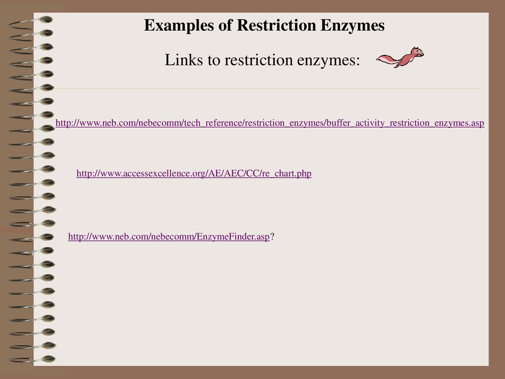 Neb Restriction Enzyme Chart
