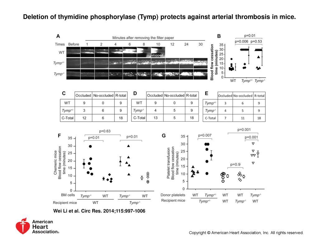 Deletion of thymidine phosphorylase (Tymp) protects against arterial thrombosis in mice.