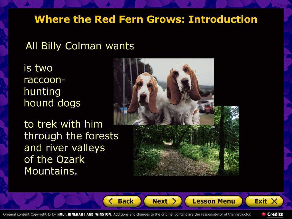 where the red fern grows where does billy get his dogs