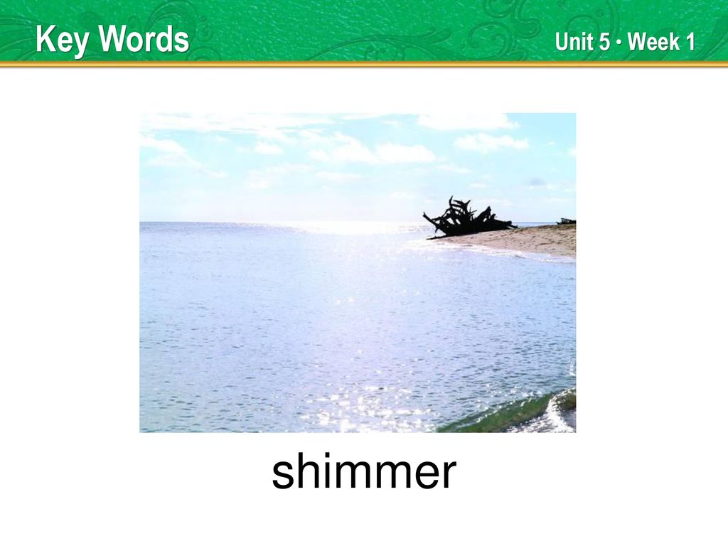 shimmer Key Words Unit 5 Week 1 TEACHER TALK ppt download