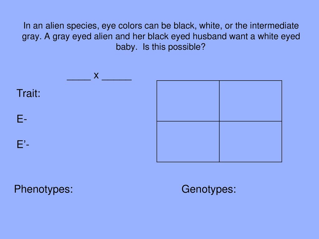 Phenotypes: Genotypes: