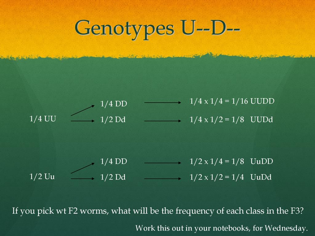 Analyzing Data c2 Test….”Chi” Square. ppt download