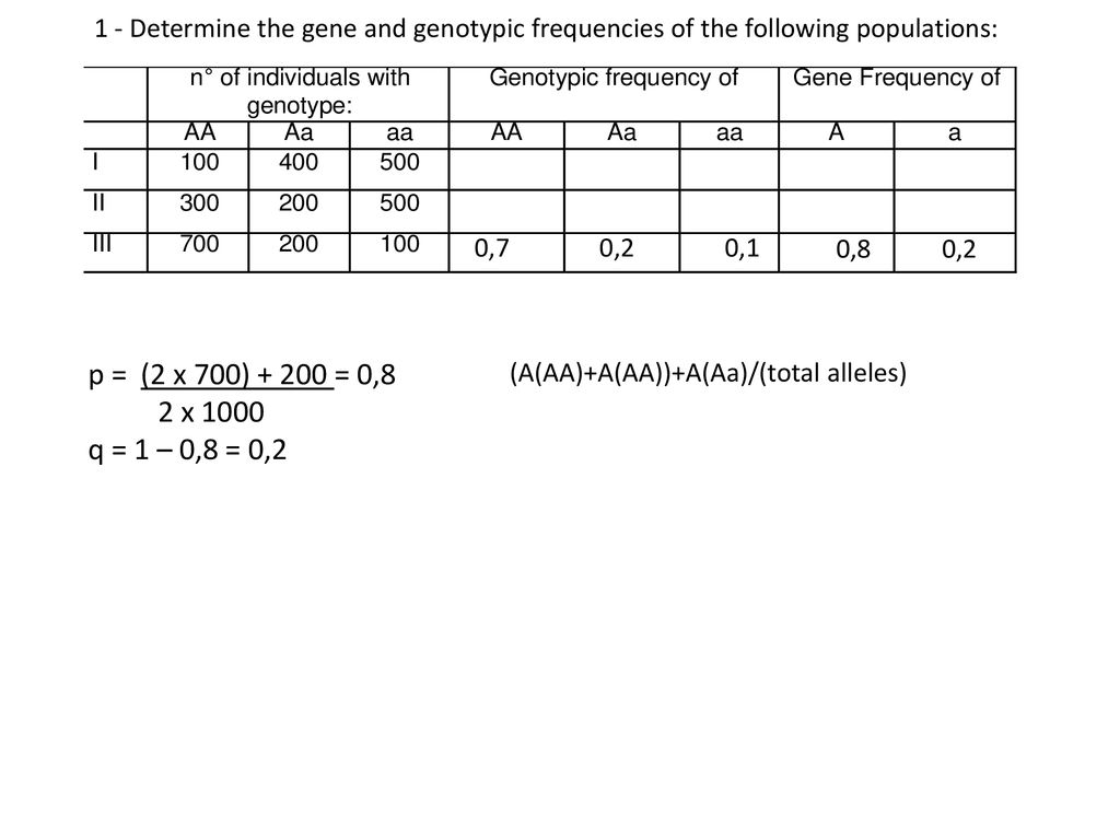 Population Genetics The Study Of The Allele Frequencies In A Population The Hardy Weinberg Equilibrium Allele And Genotype Frequencies In A Population Ppt Download
