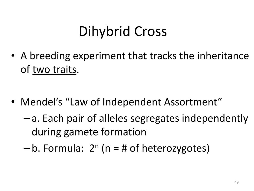 Dihybrid Cross A breeding experiment that tracks the inheritance of two traits. Mendel’s Law of Independent Assortment