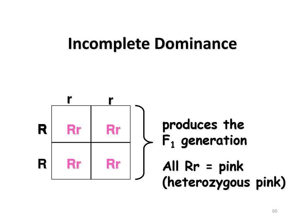 Incomplete Dominance r produces the R Rr F1 generation All Rr = pink
