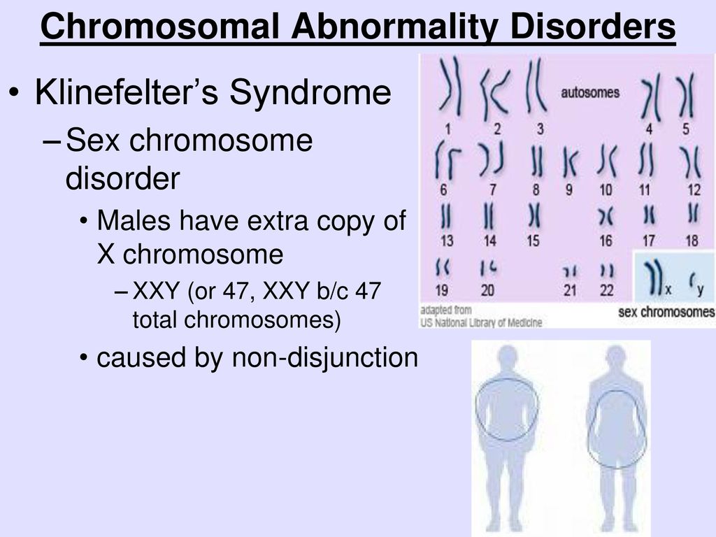 Unit 8 Genetics And Heredity Unit 9 Human Genetic Disorders Ch Ppt