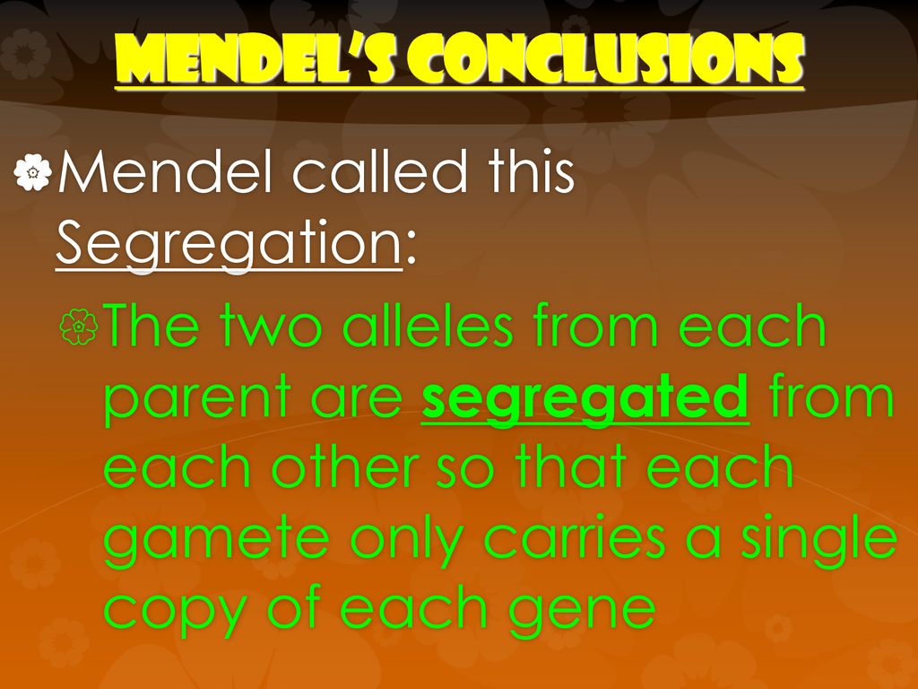 Mendel’s Conclusions Mendel called this Segregation: