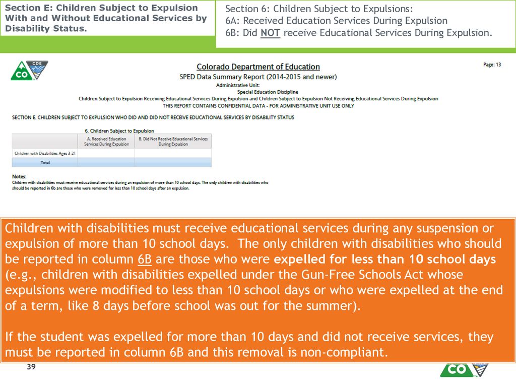 Section E: Children Subject to Expulsion With and Without Educational Services by Disability Status.