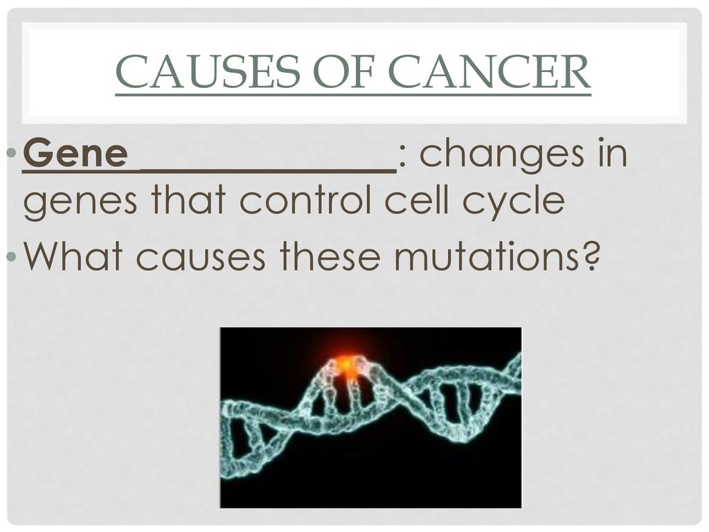 Causes of cancer Gene _____________: changes in genes that control cell cycle.
