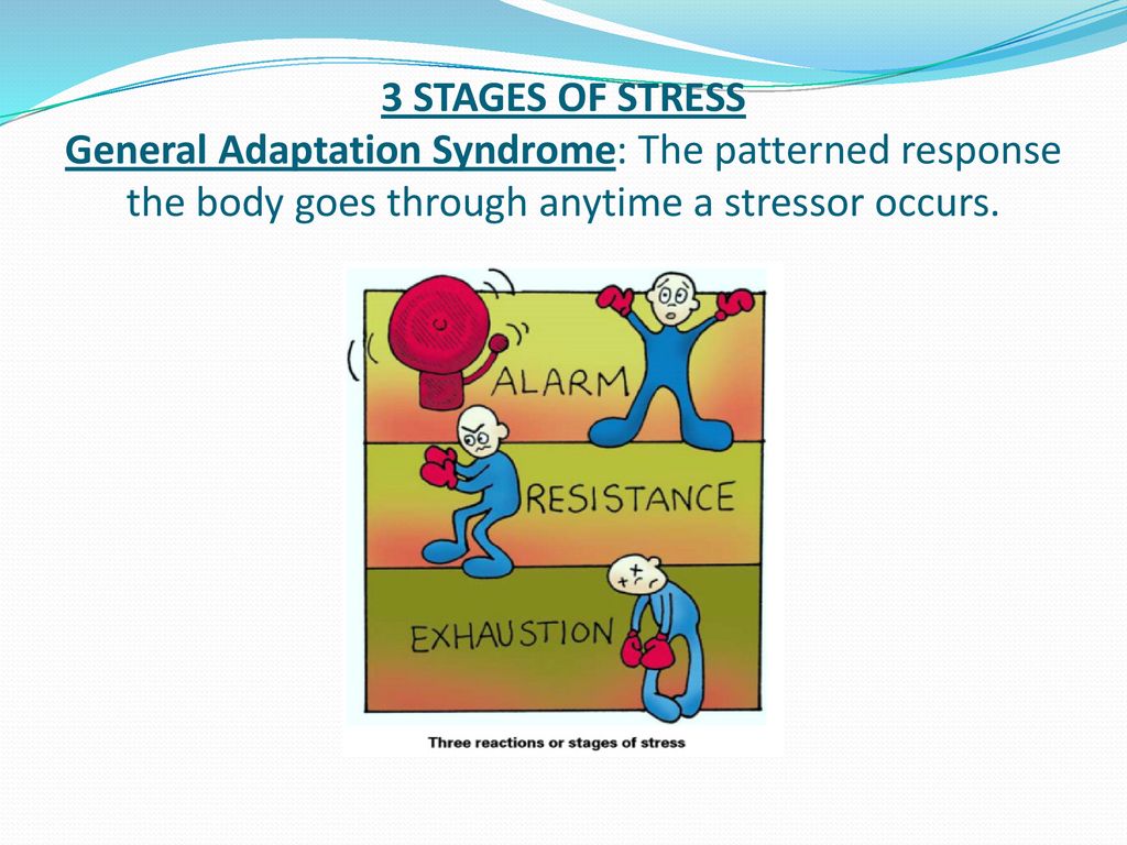 Stress Notes Are You Stressed Ppt Download