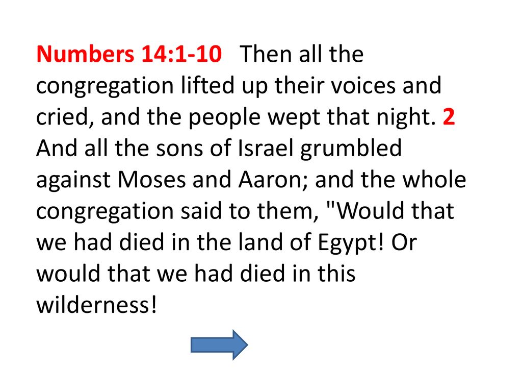 Numbers 14:1-10 Then all the congregation lifted up their voices and cried, and the people wept that night.