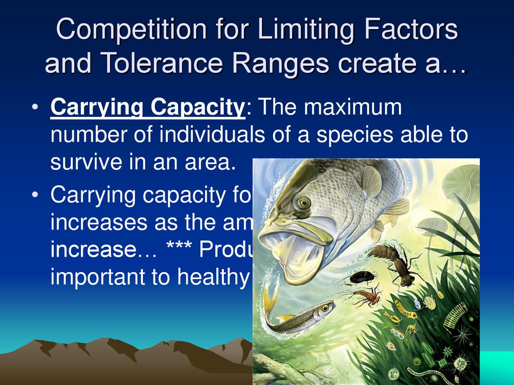 Limiting factors carrying capacity ppt download