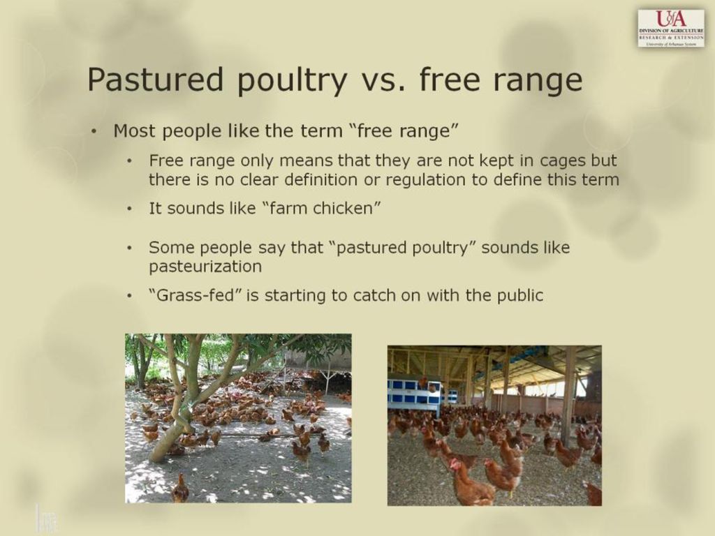Diy Chicken Waterer Community Chickens Chicken Waterer Chicken Diy Chicken Feeders
