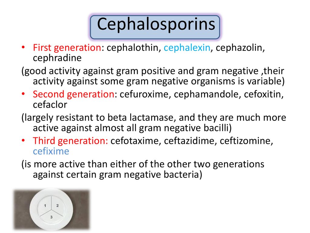 Cephalosporins First generation: cephalothin, cephalexin, cephazolin, cephradine.