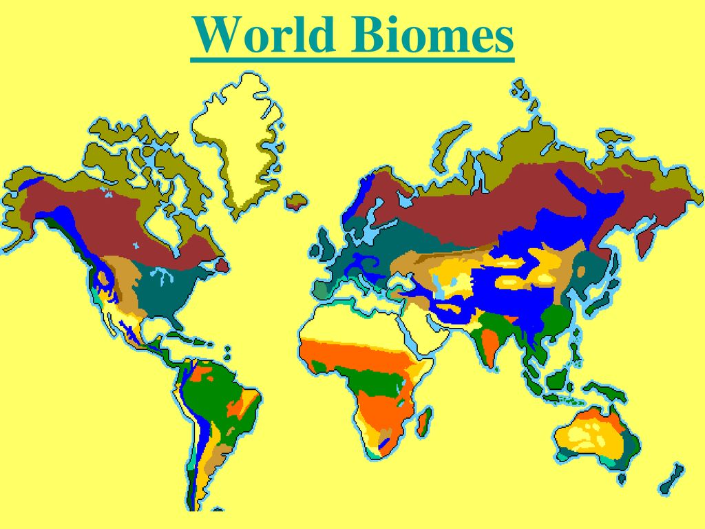 World Biomes. - ppt download