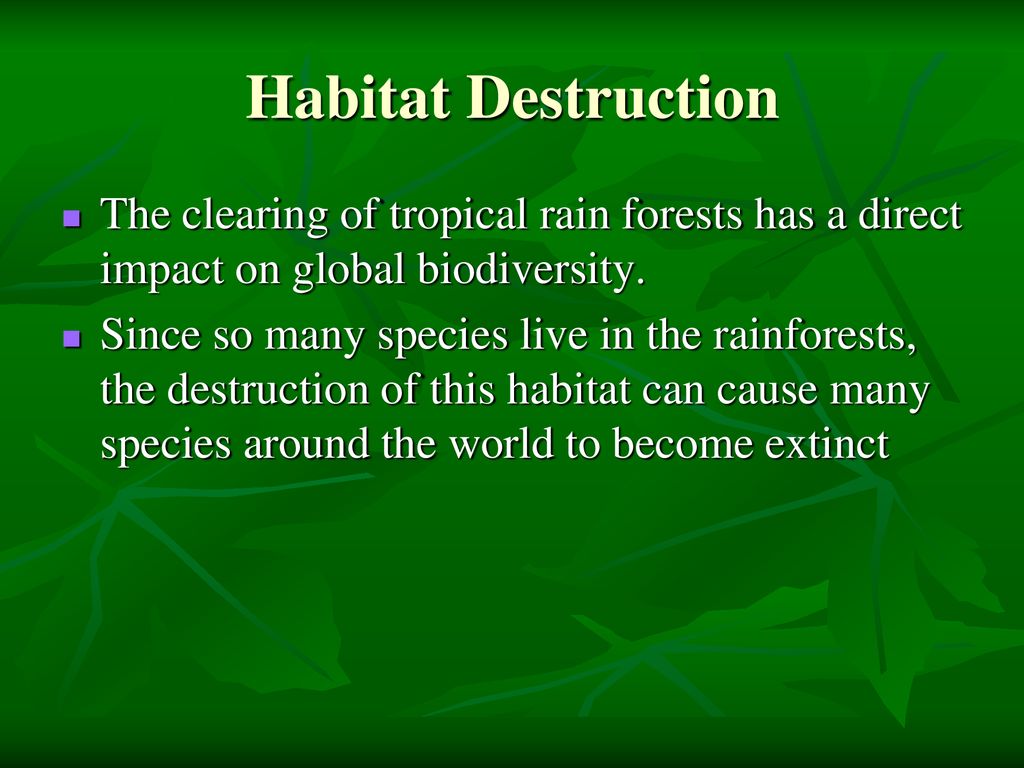 Biodiversity Who cares Biology Diagrams