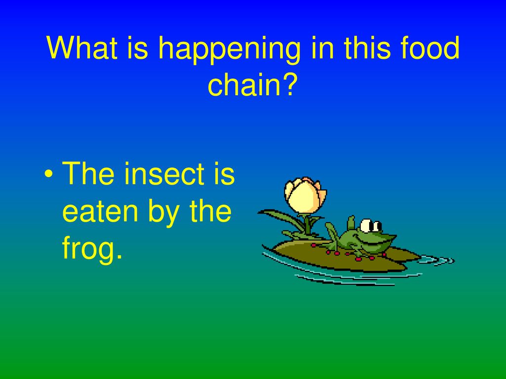 Food Chains. Biology Diagrams