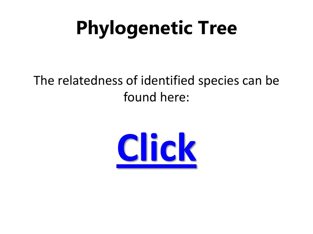 The relatedness of identified species can be found here: Click