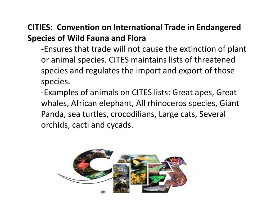 CITIES: Convention on International Trade in Endangered Species of Wild Fauna and Flora