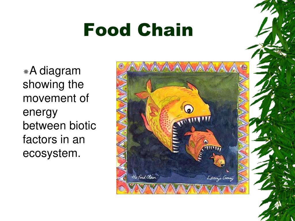 ppt download Biology Diagrams