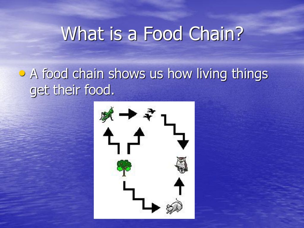 ppt download Biology Diagrams