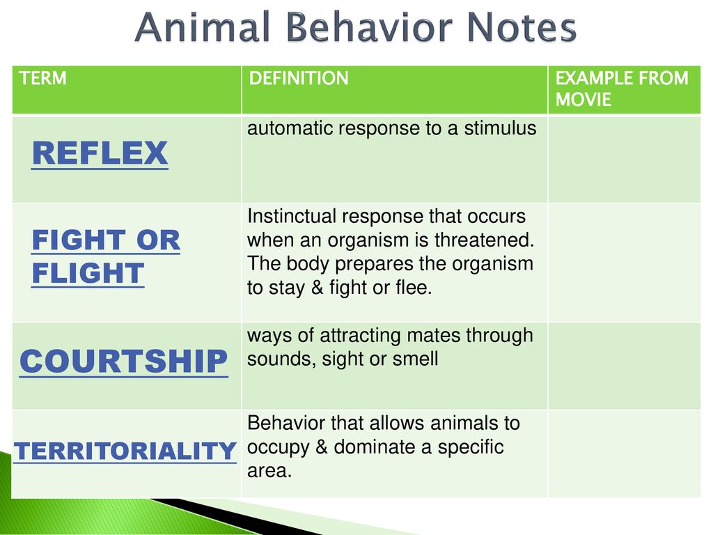 PACKET 12: Animal Behavior & Ecology - ppt download
