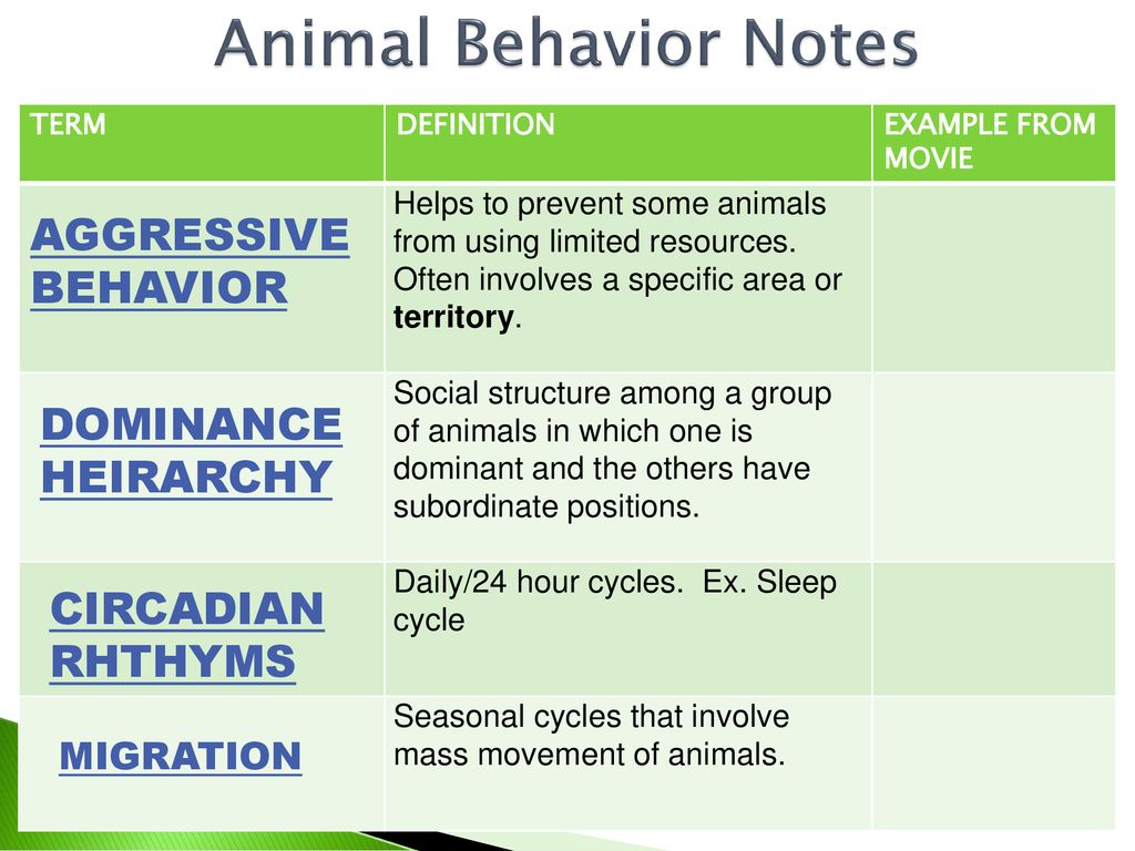 PACKET 12: Animal Behavior & Ecology - ppt download